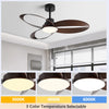 Ventilateur de Plafond | Levante