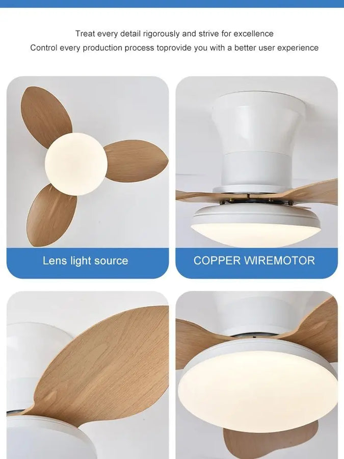 Ventilateur de Plafond Chambre Haute Puissance