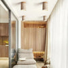 Plafonnier Cylindre Béton Blanc Minimaliste Design Moderne - Salle de Bain Salon Chambre — Thuban