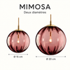 Mimosa — 09 diametres v2