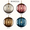 Mimosa — 10 couleurs