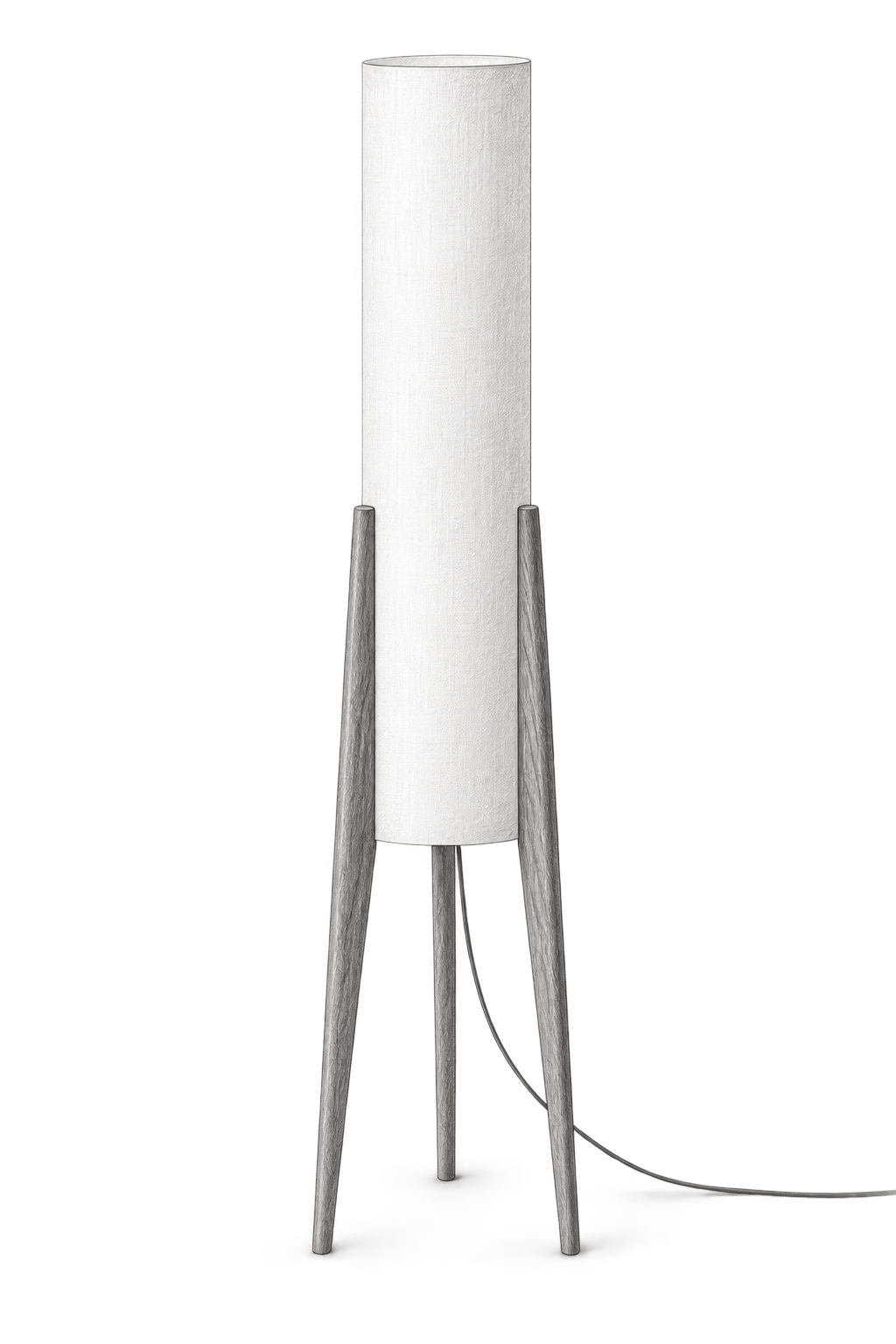 Croquis au graphite de Canna, Dimensions