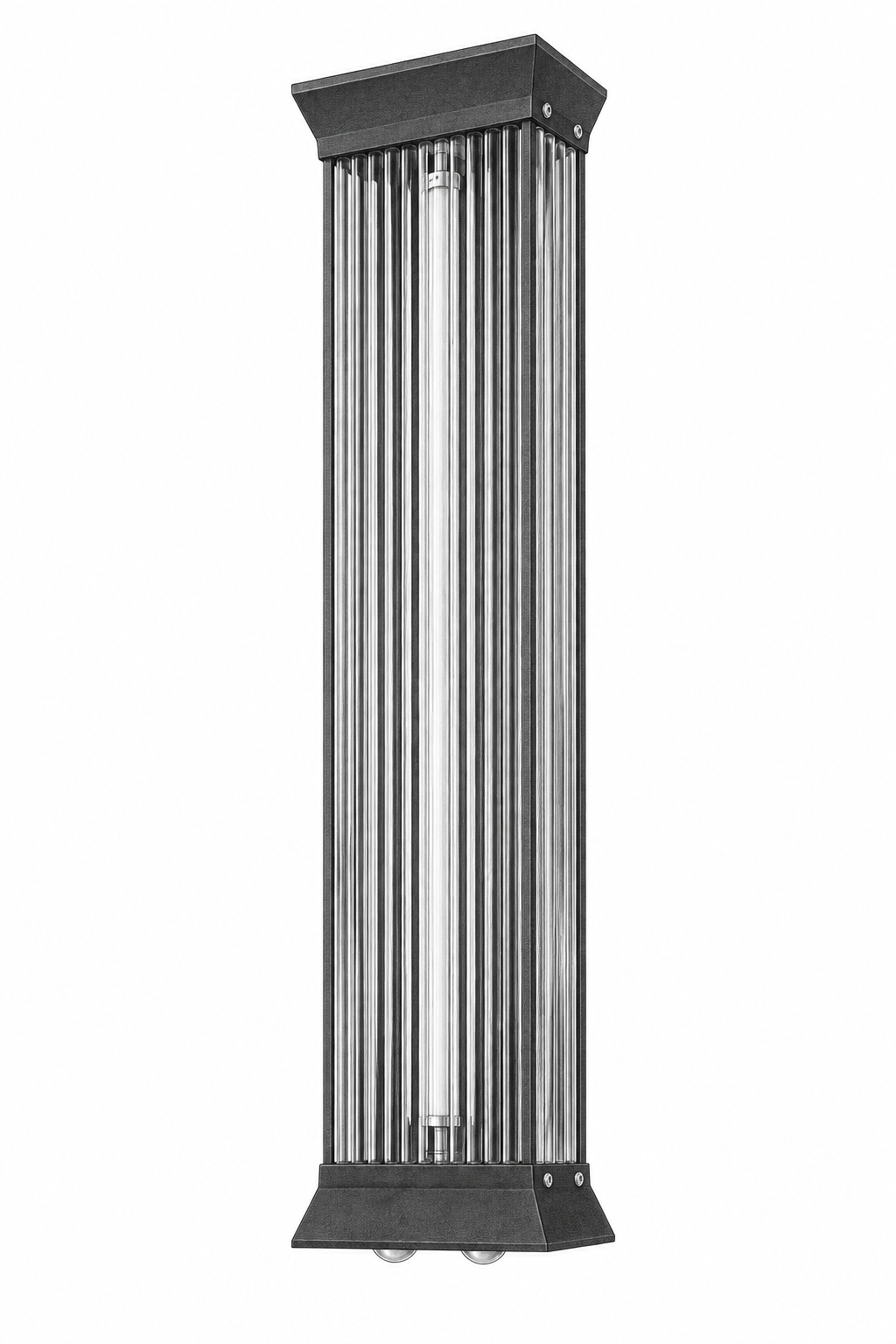 Croquis au graphite de Lumio, 70 cm