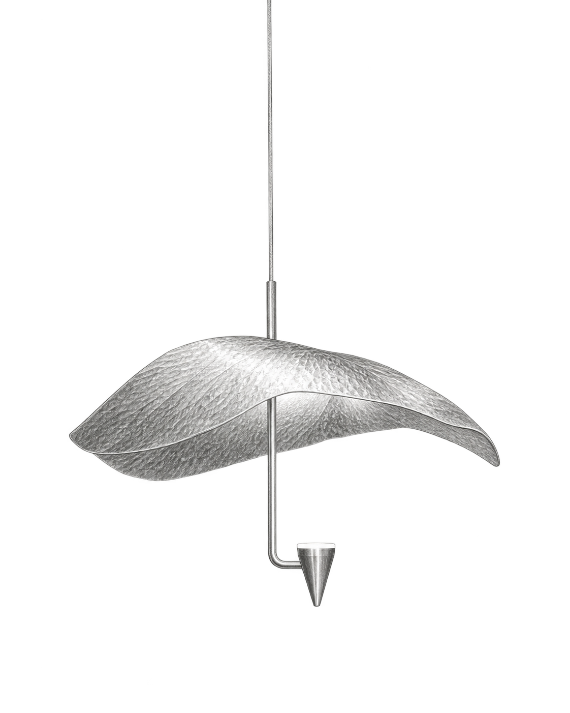 Croquis au graphite de Regulus, Regulus · Ø 30 cm
